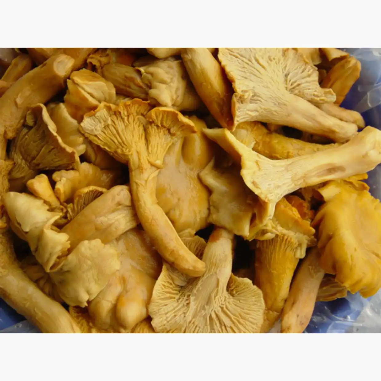 Brined Chanterelles