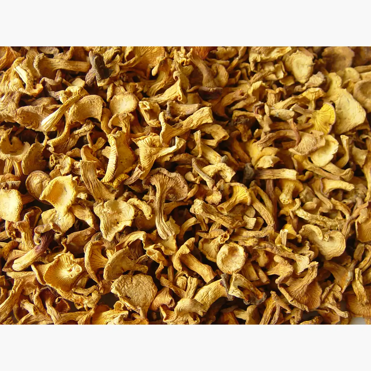 DRIED Chanterelles