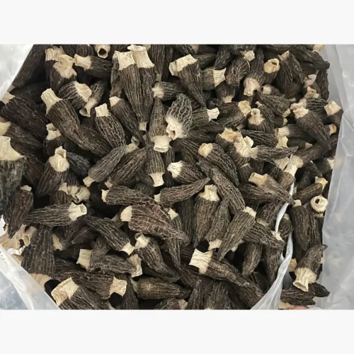 Dried Morel