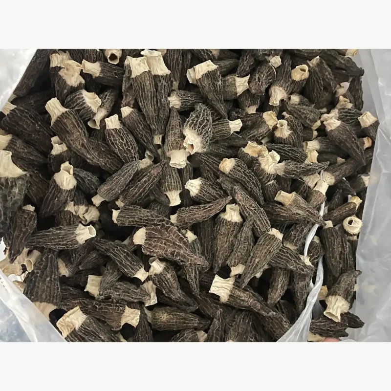 Dried Morel