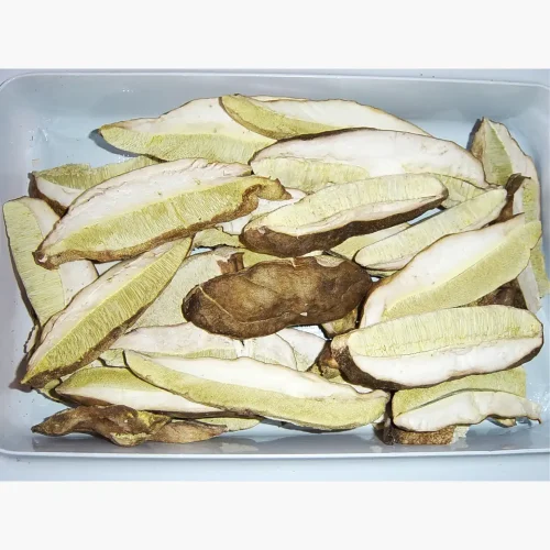 FREEZE DRIED BOLETUS EDULIS (PORCINI)