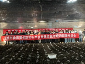 Agricultural technology innovation in Beijing
