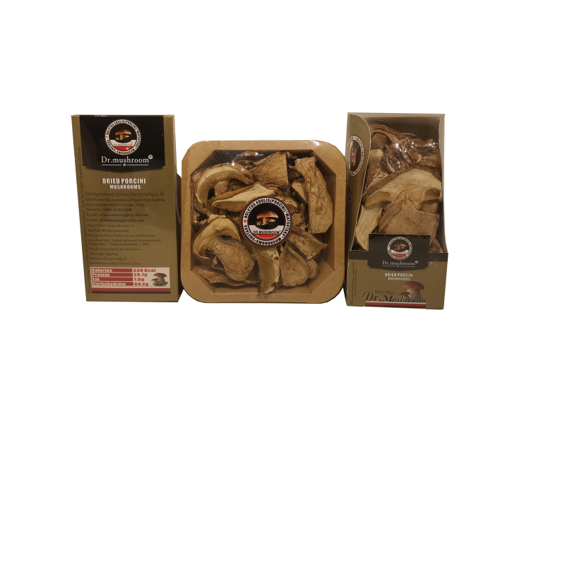 Dried Boletus edulis slice