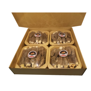 Dried Morel