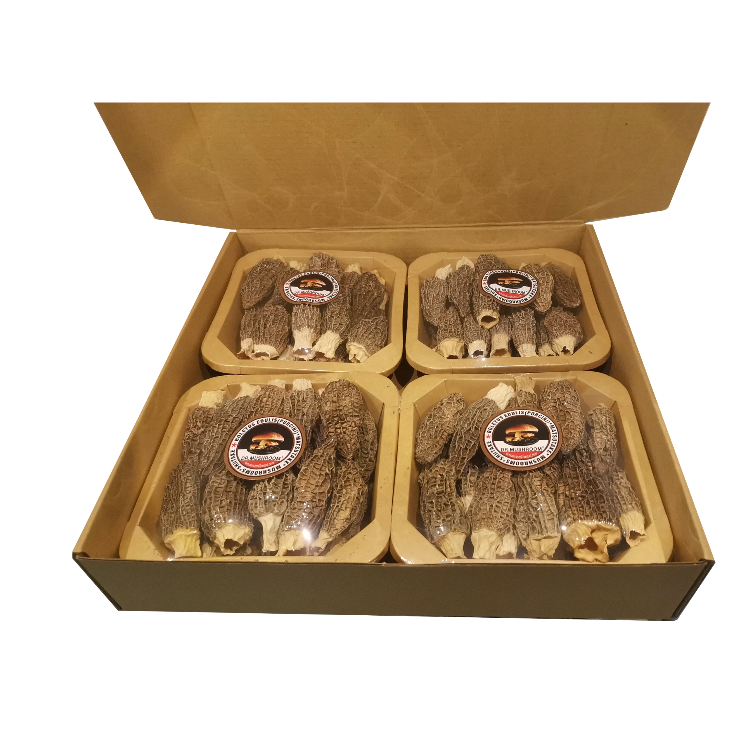 Dried Morel