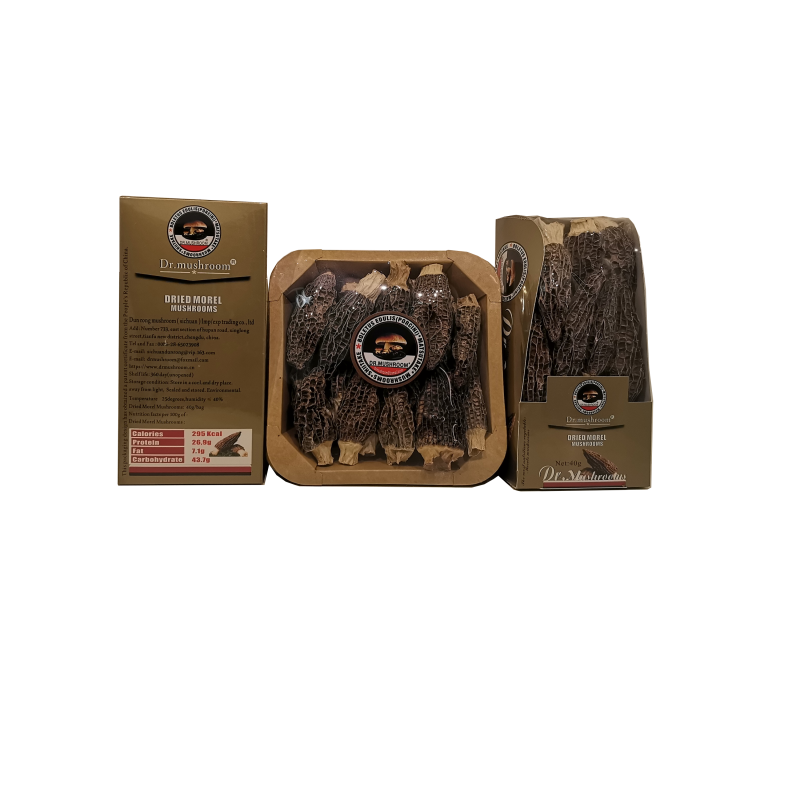 Dried Morel